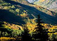 Autumn and Silhouettes at Red Mountain Pass Overlook