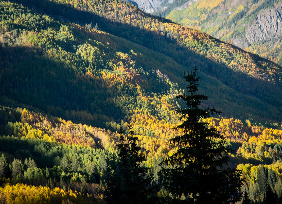 Autumn and Silhouettes at Red Mountain Pass Overlook