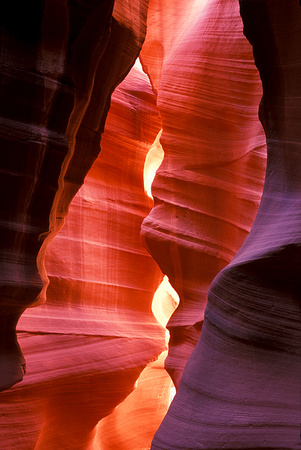 Brilliance in Upper Antelope - Page, Arizona