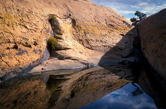 Early Morning At Muley Point Pool - Cedar Mesa, Utah