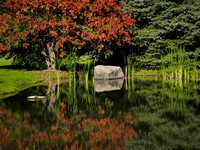 Reflective Pond at The Ranch