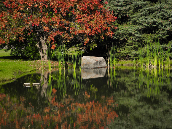Reflective Pond at The Ranch